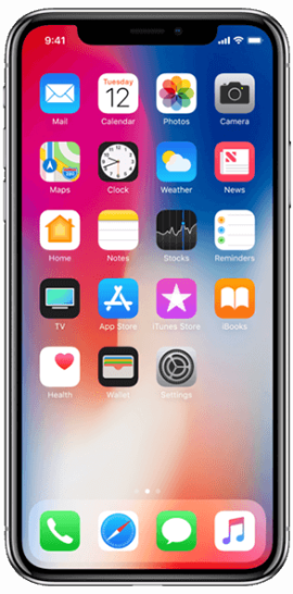 Apple iPhone X