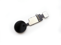 Home Button